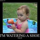 Watering A Shoe