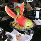 Watermelon Donkey