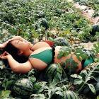 Watermelon Field