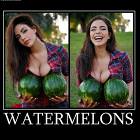 Watermelons
