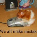 We All Make Mistakes