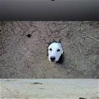 We Are Watching You