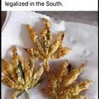 We Fry Everything