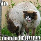 We Nom In Hell