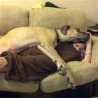 We Take Naps Together