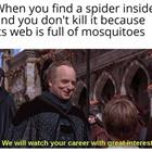 We Watch It