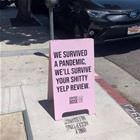 We Will Survive
