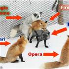 Web Browsers Explained