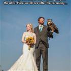 Wedding Pictures Picdump 7