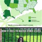 Weed Laws