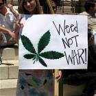 Weed Not War