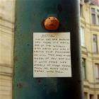 Weird Notice