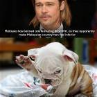 Weird Things That Are Banned