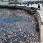 Welcome To Rio