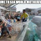 Welcome To Sea World