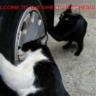 Welcome To The Ghetto