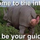Welcome To The Internet