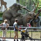 Welcome To The Zoo