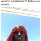 Welcome To Wendys