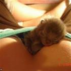 What A Cute Kitten