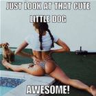 What A Cute Puppy