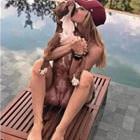 What A Cute Puppy