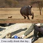 What A Day