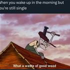 What A Waste