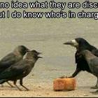 What Are They Discussing