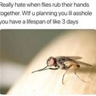 What Are You Planning