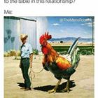 What Can You Bring To The Table