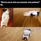 What Do You Do