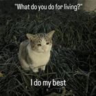 What Do You Do