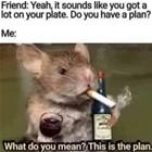 What Do You Mean