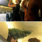 What Every Airline Needs