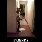 What Friends Are For