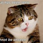 What Has Been Seen