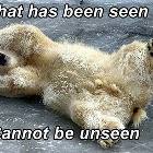 What Has Been Seen