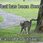What Has Been Seen