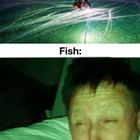 What Is That Light