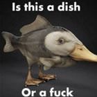 What Is This