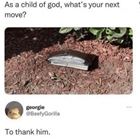 What Is Your Next Move