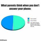 What Parents Think