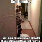 What Real Friends Are For