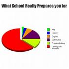 What School Prepares You For