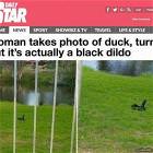 What The Duck