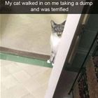 What The Hell