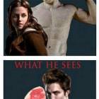 What We See