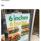What Would You Bring