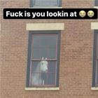 What You Lookin At
